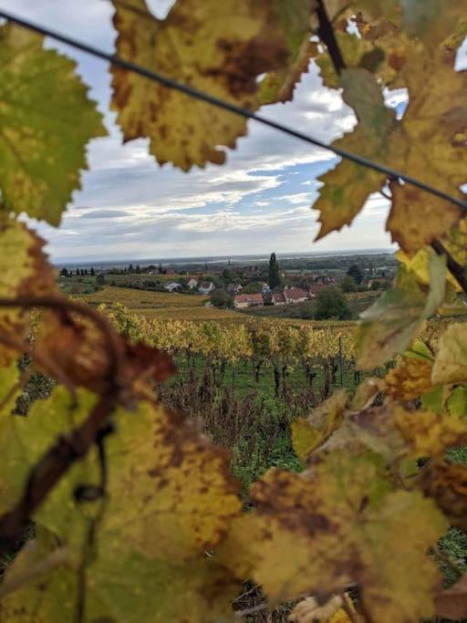Le Kelsch, Loft Duplex 130M2 Avec Sauna, Proche Vignoble Marlenheim Exterior foto